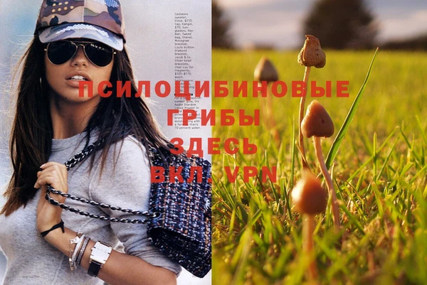 каннабис Абаза