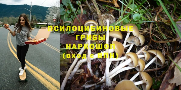 каннабис Абаза