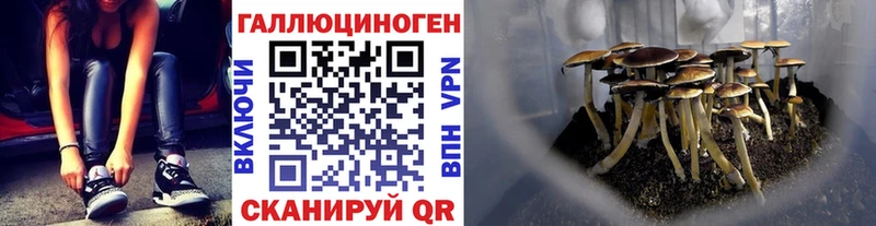 Галлюциногенные грибы ЛСД купить мориарти какой сайт Бобров